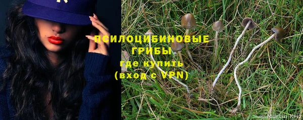 трава Балахна